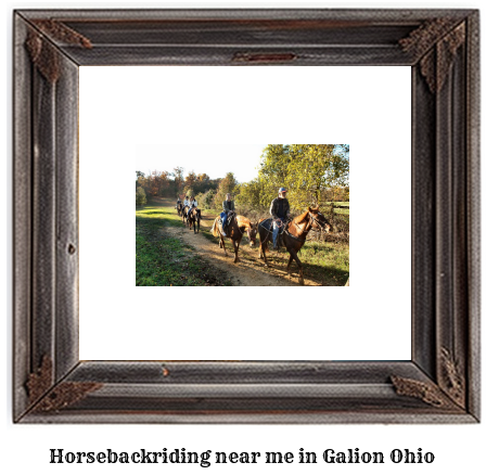 horseback riding near me in Galion, Ohio